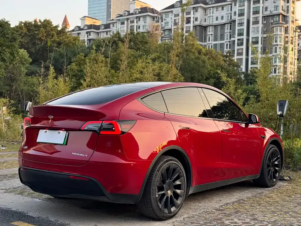 Tesla Model Y — фото 4