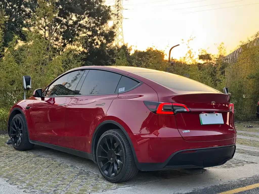 Tesla Model Y — фото 7