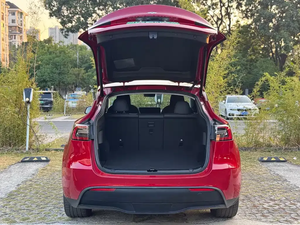 Tesla Model Y — фото 9