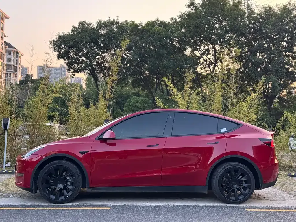 Tesla Model Y — фото 10
