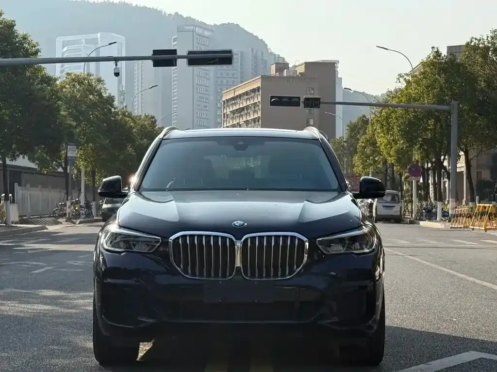 BMW X5 (Import) — фото 2