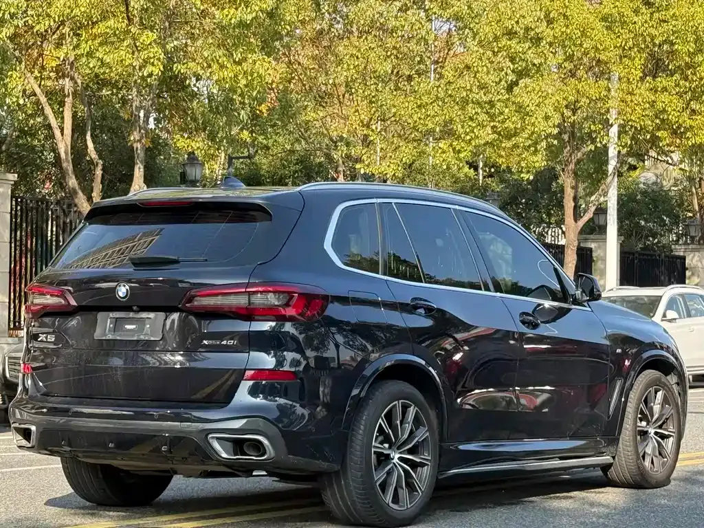 BMW X5 (Import) — фото 6