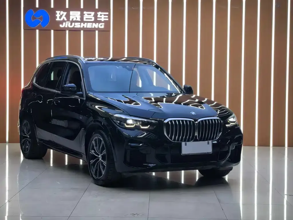 BMW X5 (Import) — фото 10