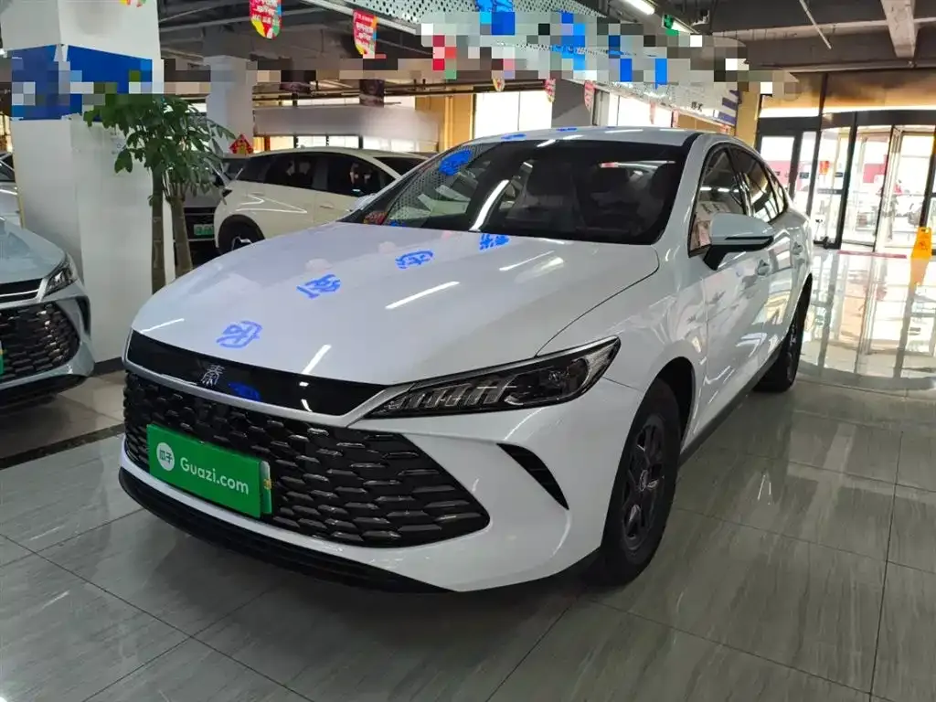 BYD Qin PLUS — фото 2