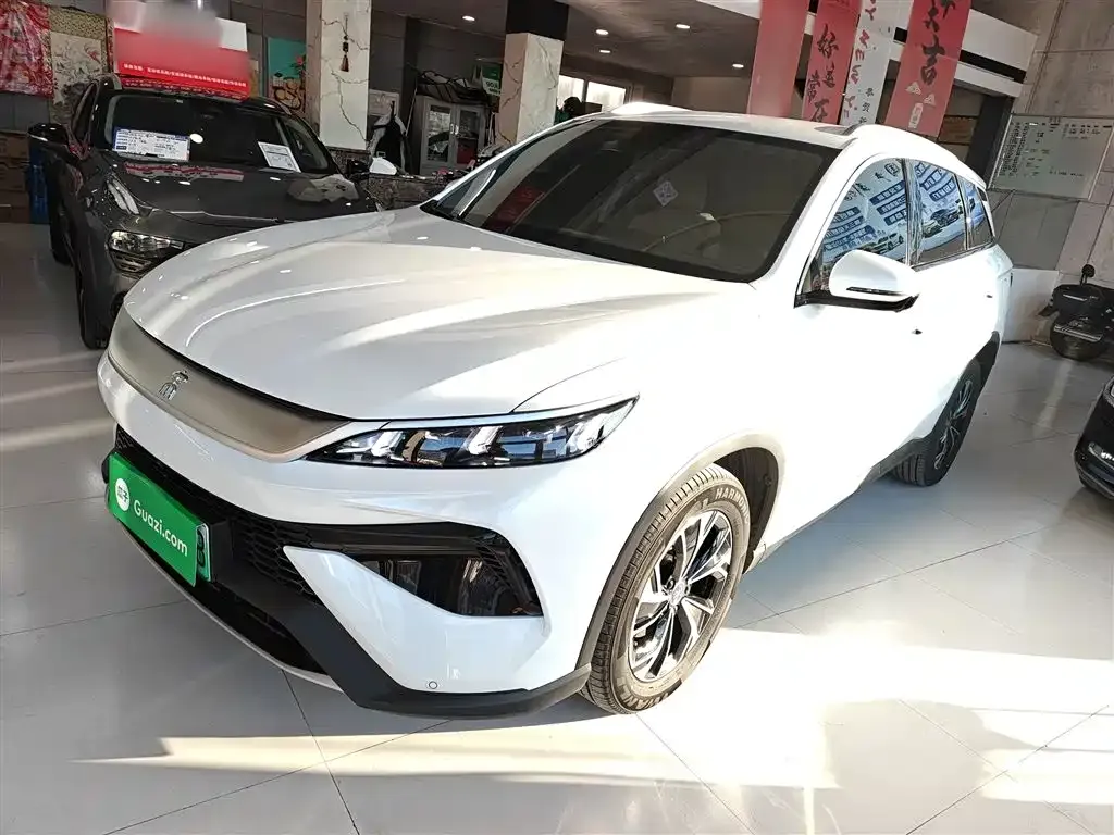 BYD Pro New Energy — фото 9