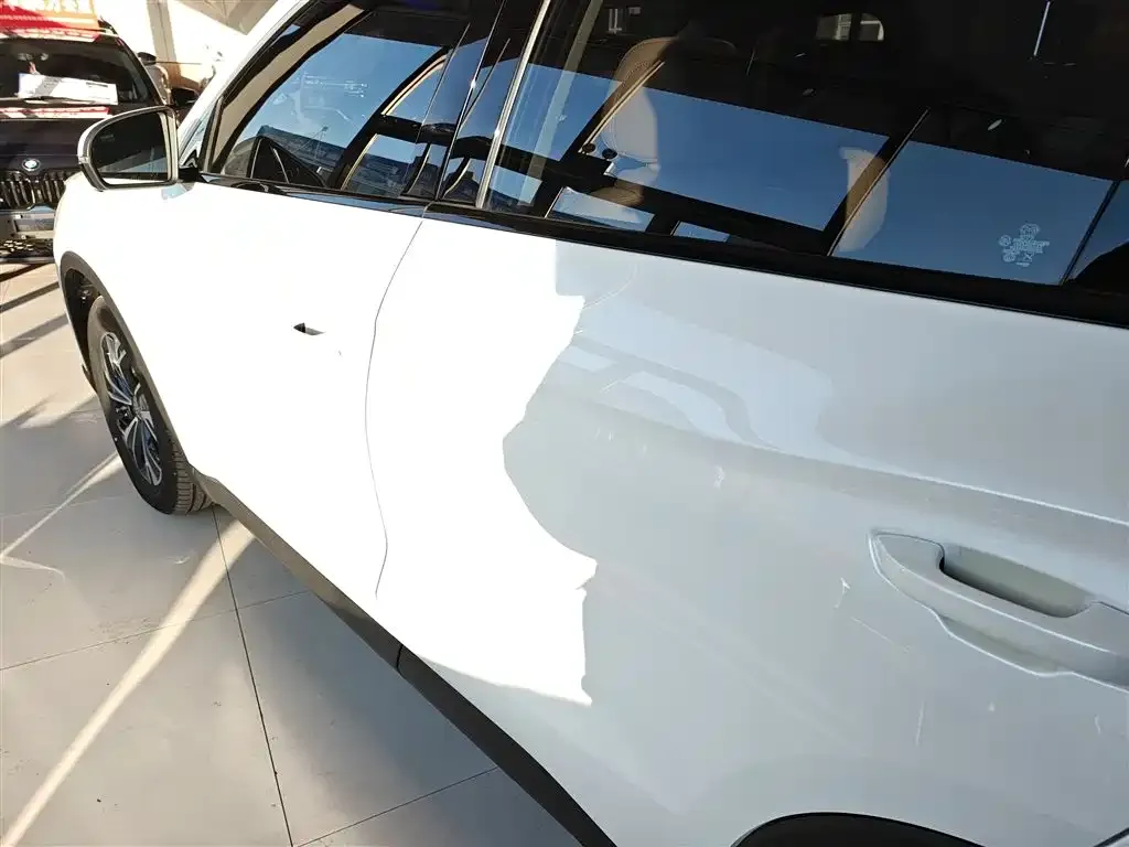 BYD Pro New Energy — фото 2