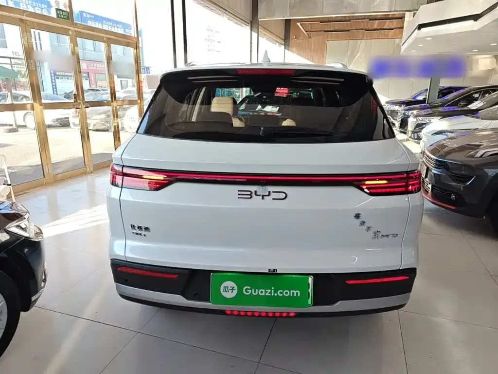 BYD Pro New Energy — фото 10