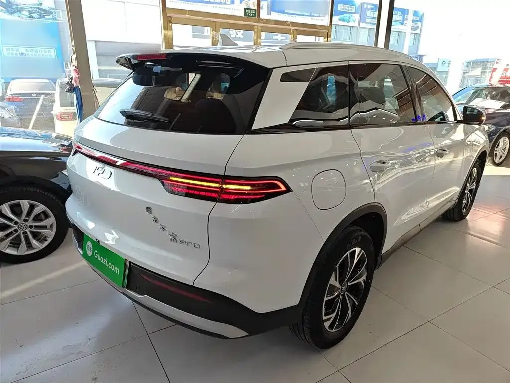 BYD Pro New Energy — фото 5