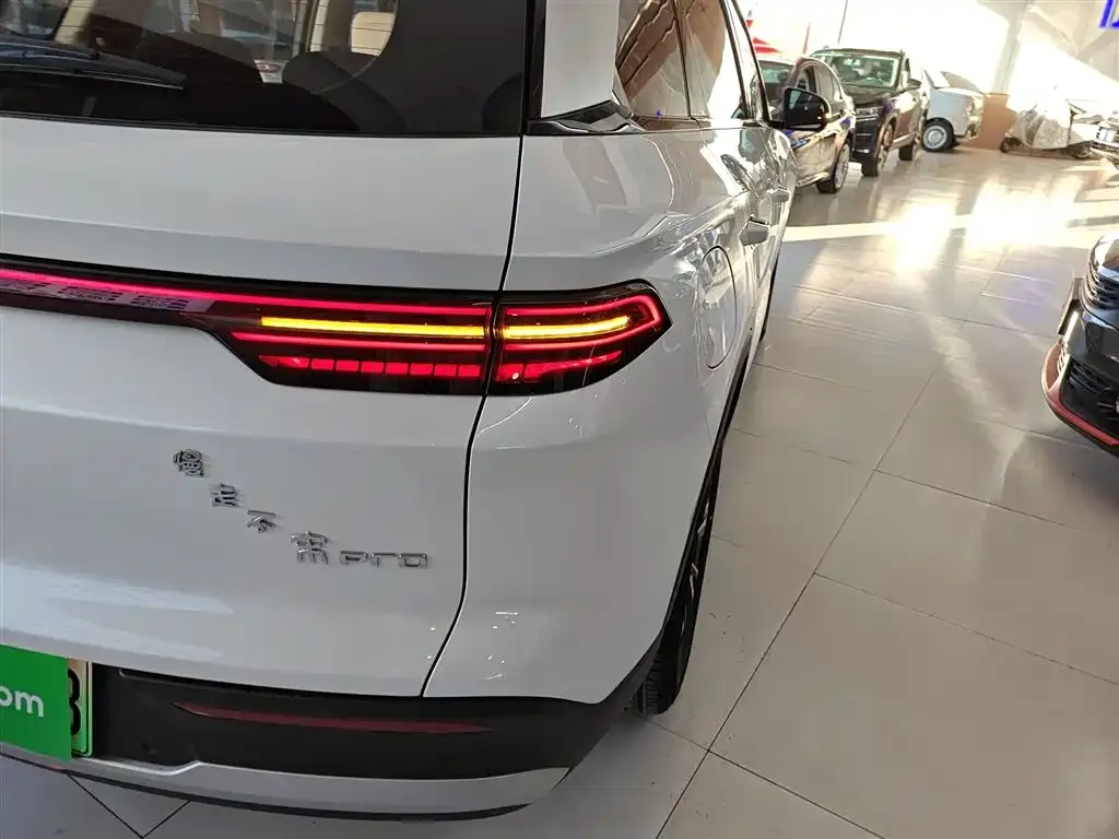 BYD Pro New Energy — фото 7