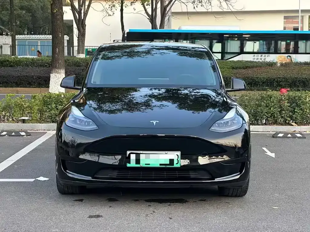 Tesla Model Y — фото 1