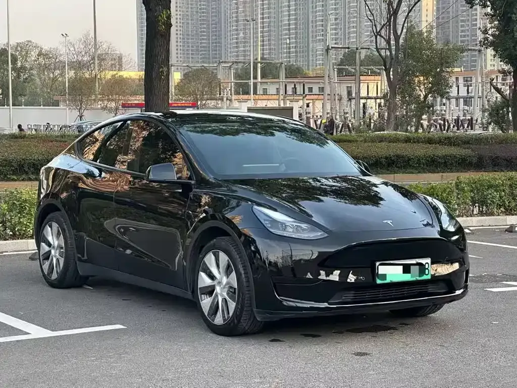 Tesla Model Y — фото 9
