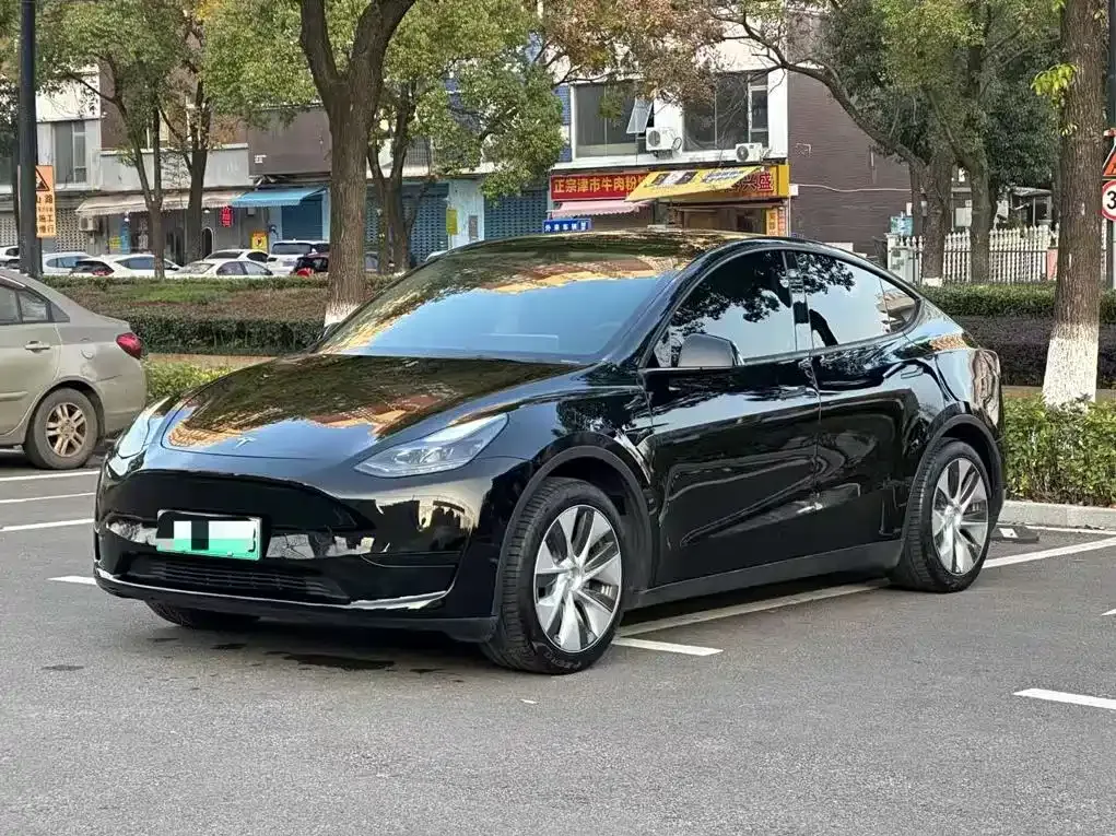 Tesla Model Y — фото 8