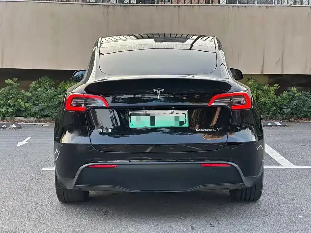 Tesla Model Y — фото 3