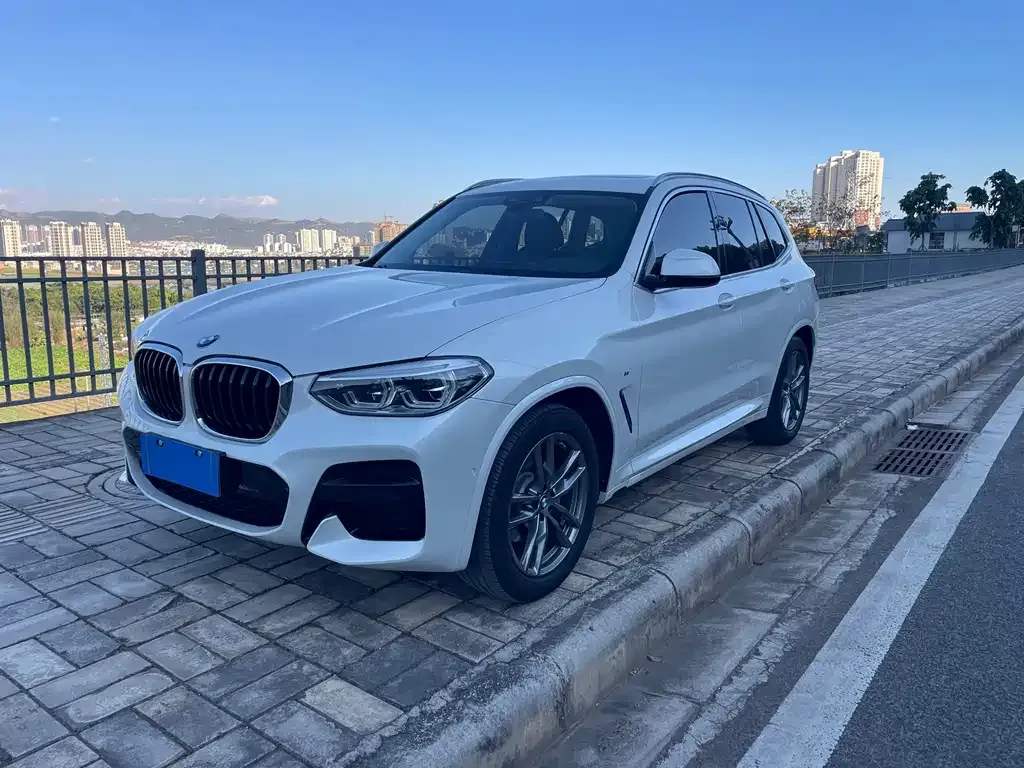 BMW X3 — фото 1
