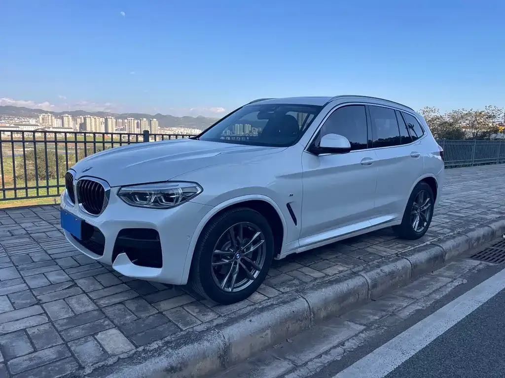 BMW X3 — фото 4