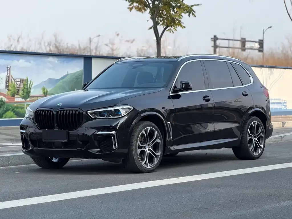 BMW X5 — фото 1