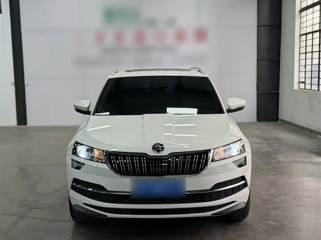 Skoda Karoq — фото 6