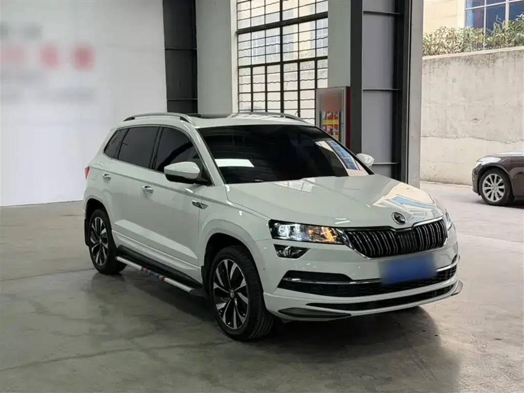 Skoda Karoq — фото 7