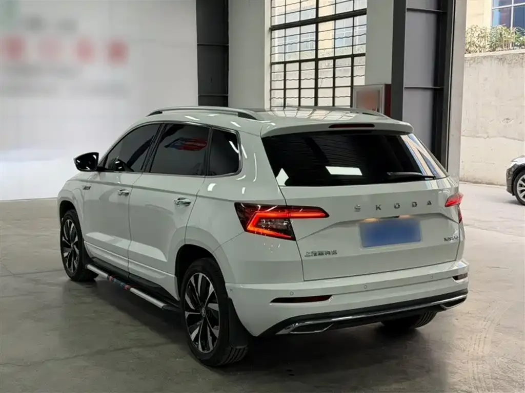Skoda Karoq — фото 8