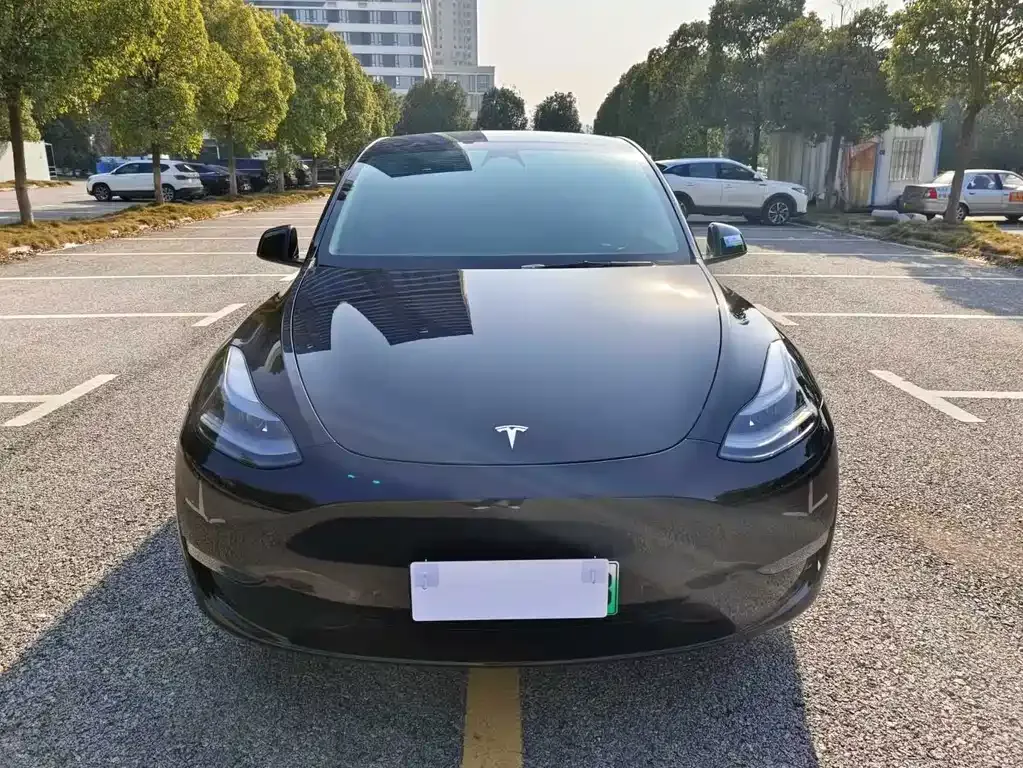 Tesla Model Y — фото 9