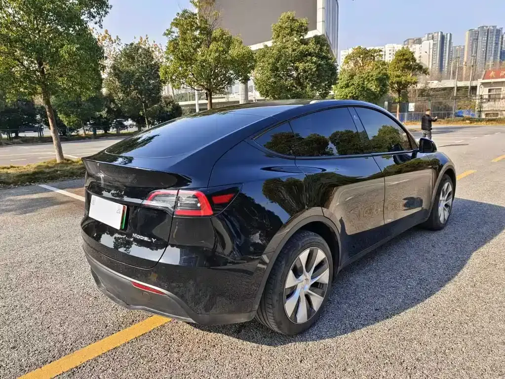 Tesla Model Y — фото 10