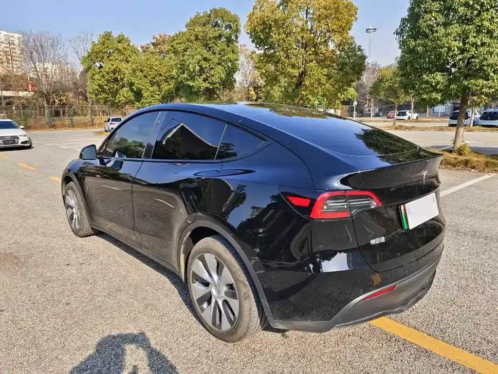 Tesla Model Y — фото 5