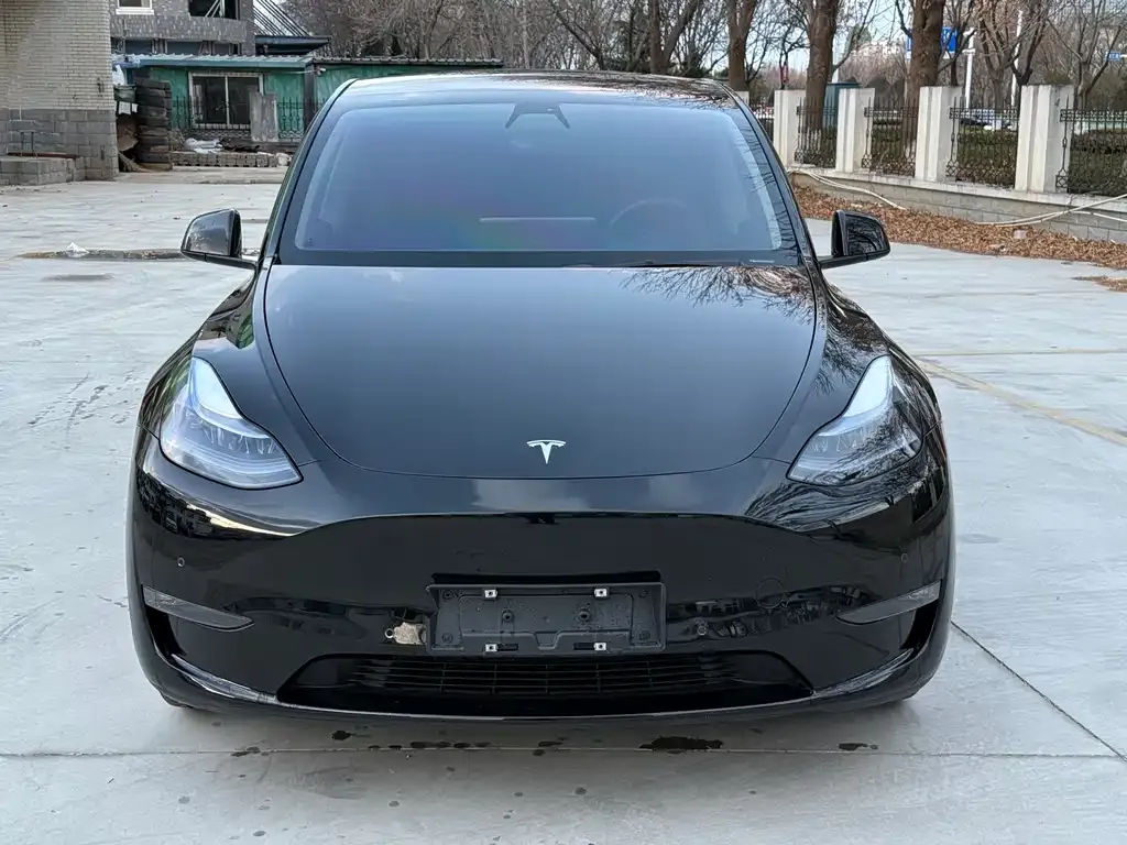 Tesla Model Y — фото 2