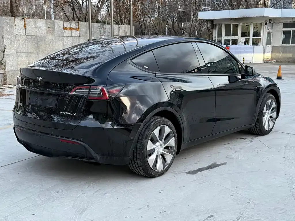 Tesla Model Y — фото 5