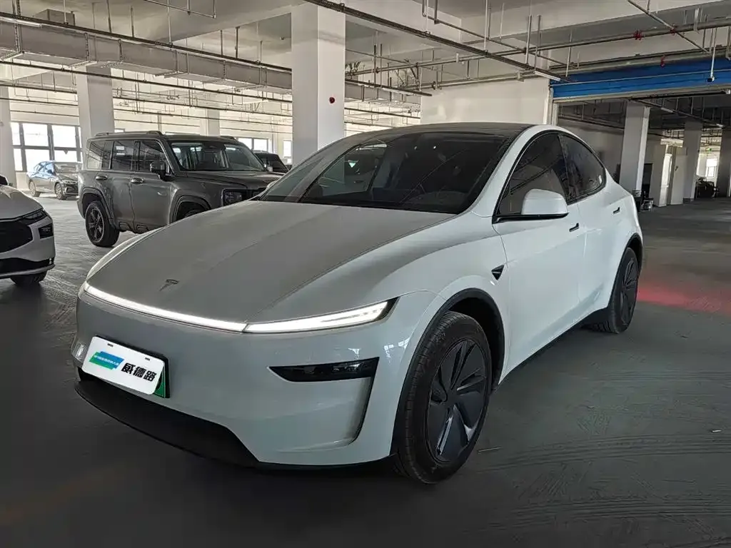 Tesla Model Y — фото 1