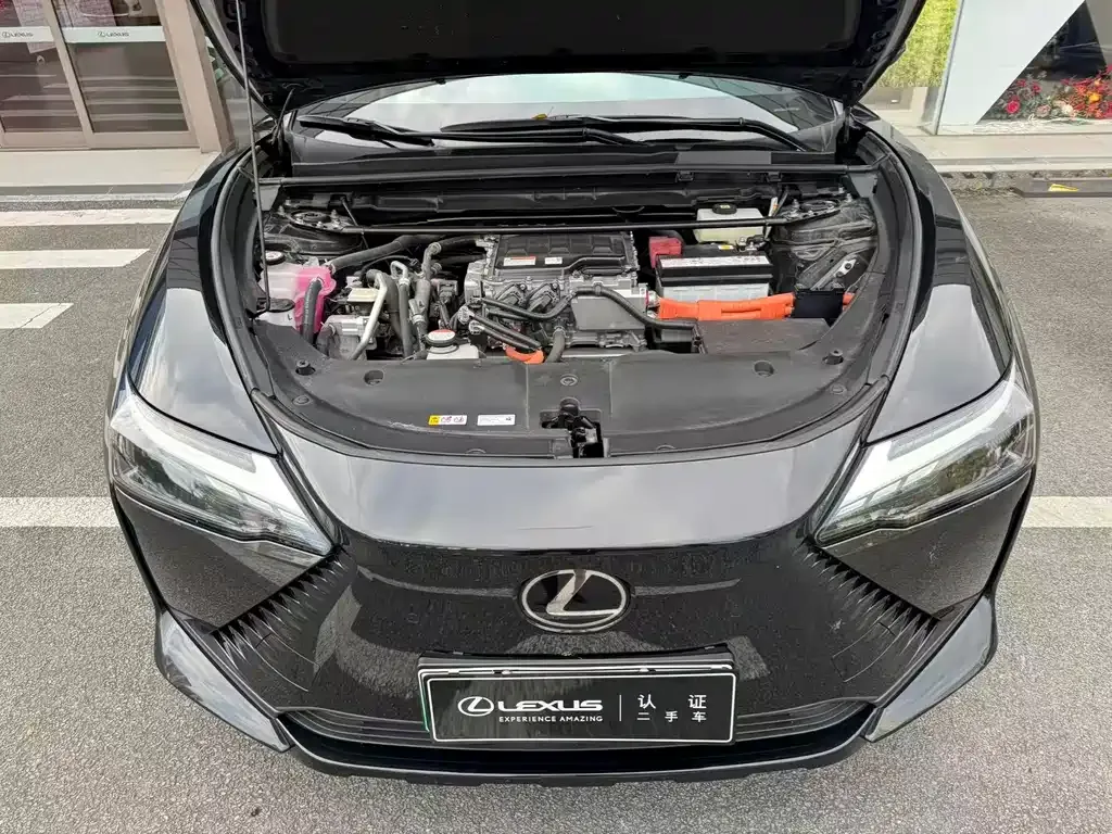 Lexus RZ — фото 4