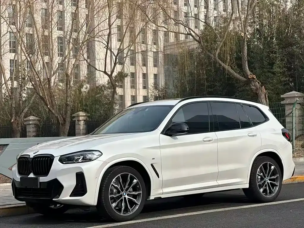 BMW X3 — фото 1