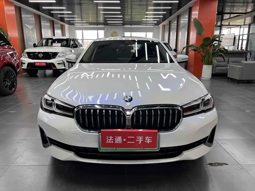 BMW 5 Series New Energy — фото 8