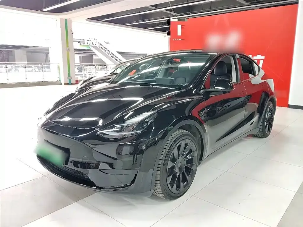 Tesla Model Y — фото 1