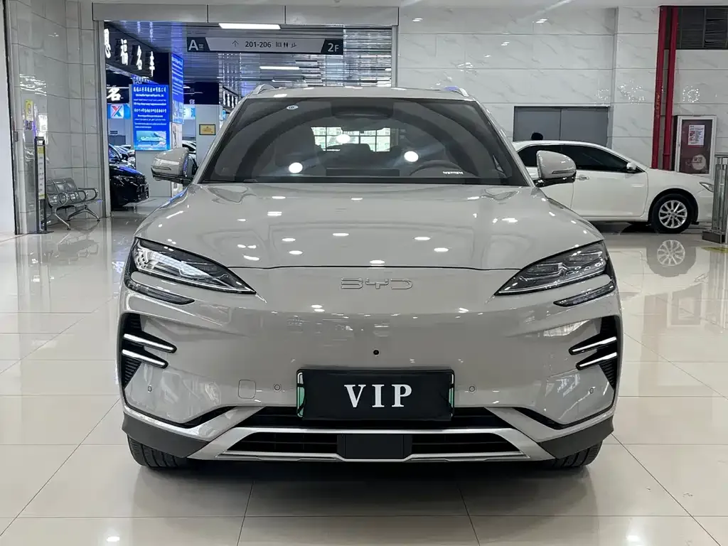 BYD PLUS New Energy — фото 1
