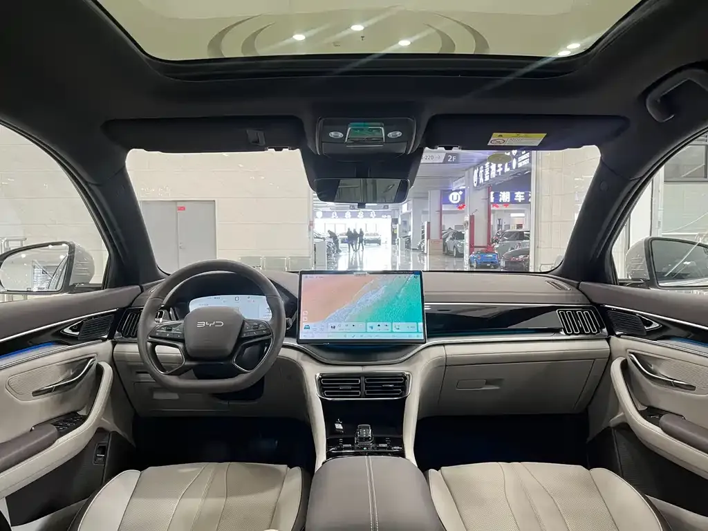 BYD PLUS New Energy — фото 10