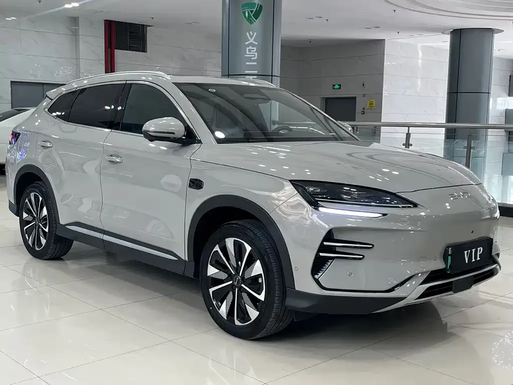 BYD PLUS New Energy — фото 2