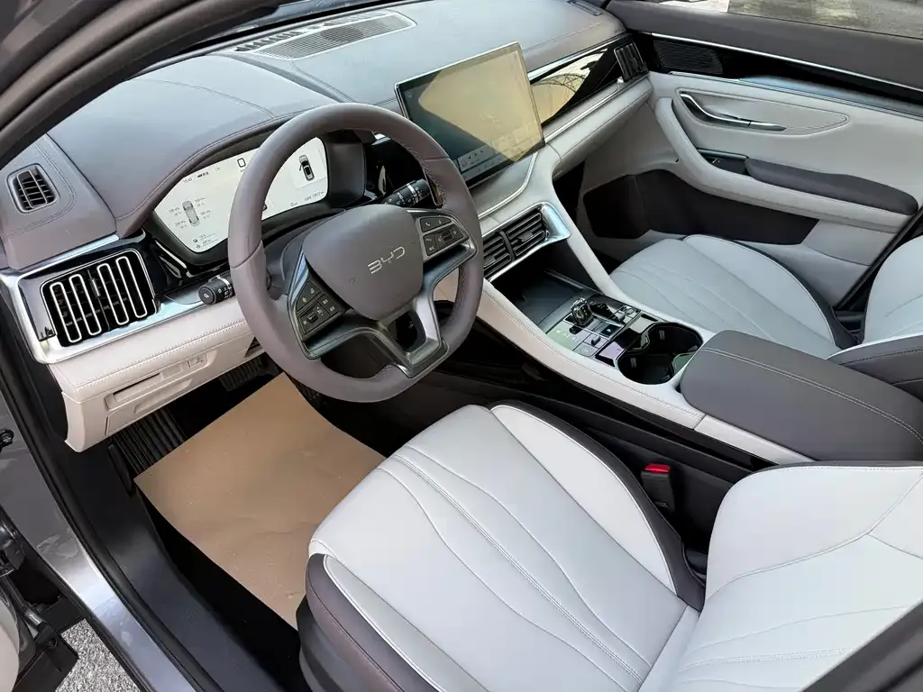 BYD PLUS New Energy — фото 2