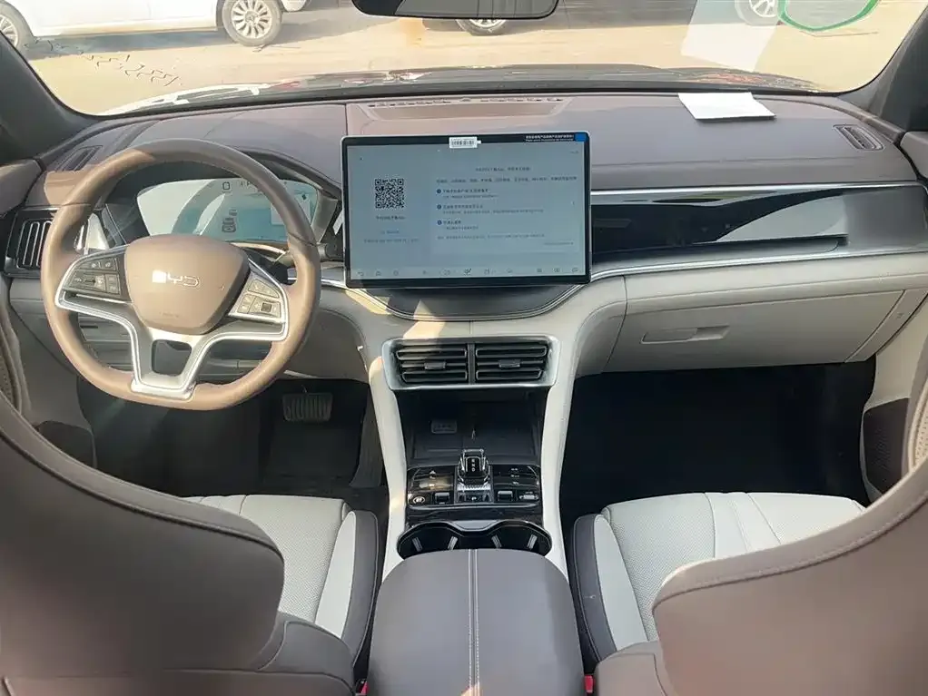 BYD PLUS New Energy — фото 10