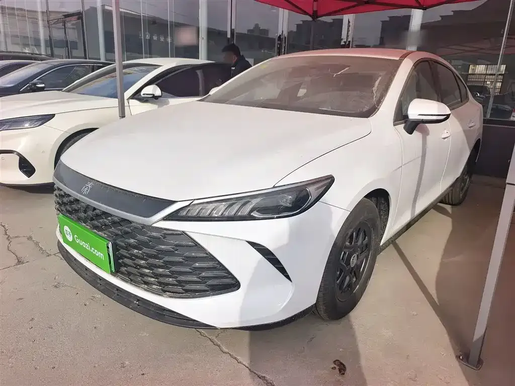 BYD Qin PLUS — фото 1