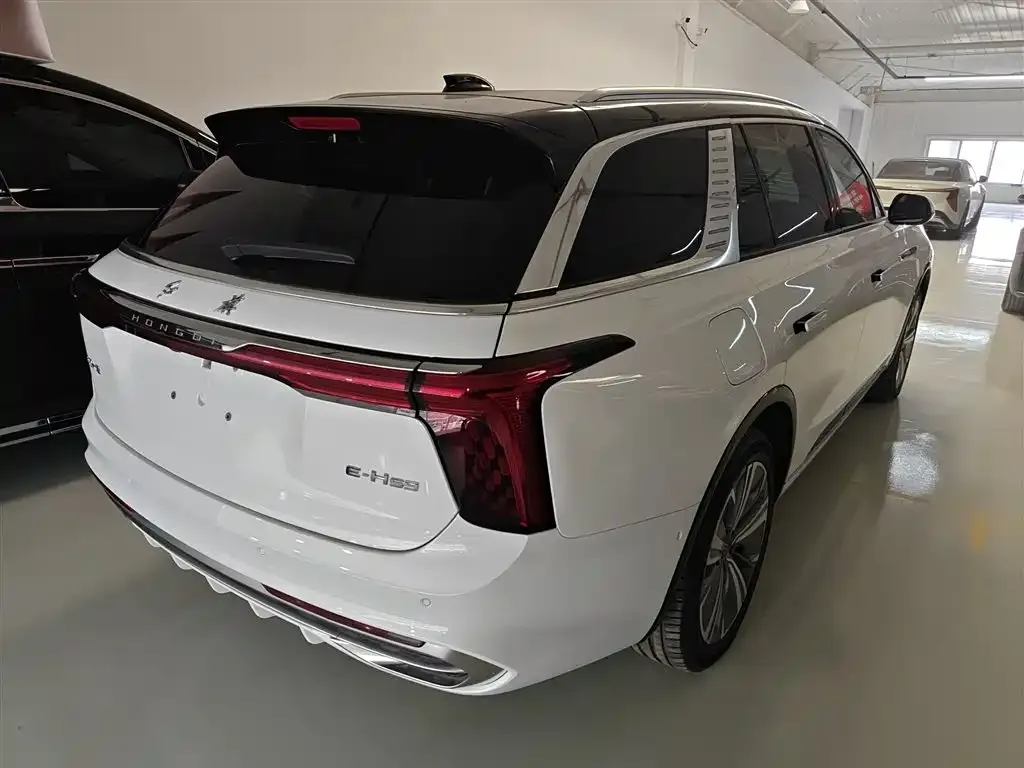 Hongqi E-HS9 — фото 10