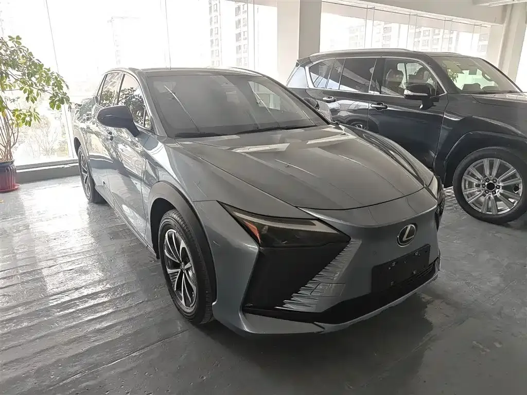 Lexus RZ — фото 10