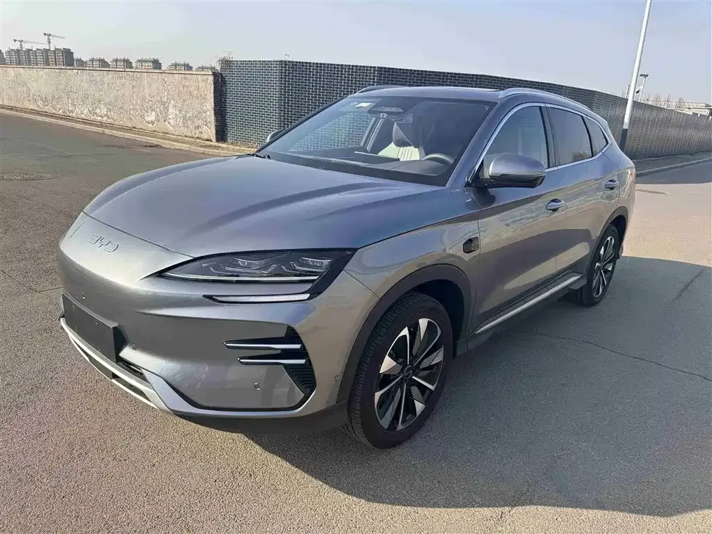 BYD PLUS New Energy — фото 1