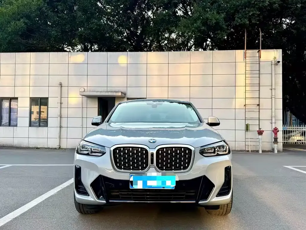 BMW X4 — фото 6