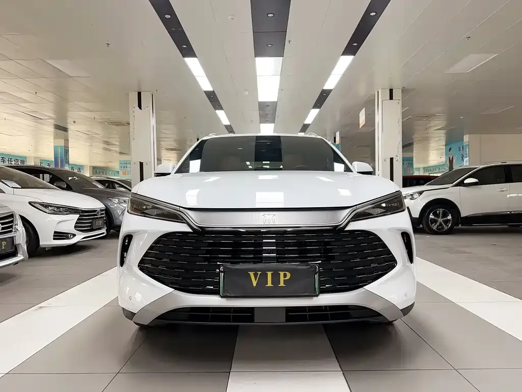 BYD L DM-i — фото 6