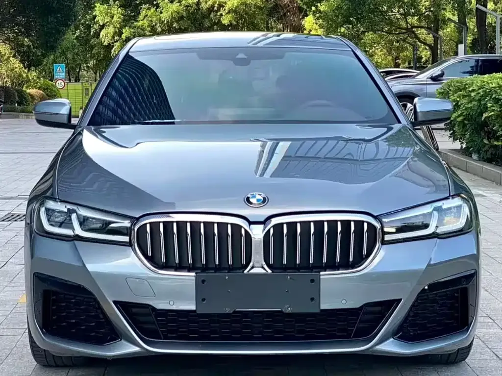 BMW 5 Series (Import) — фото 1