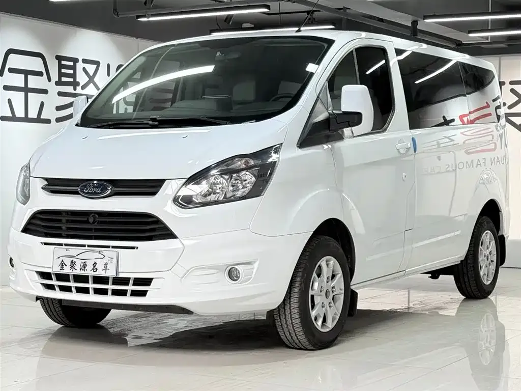 Ford Tourneo — фото 1
