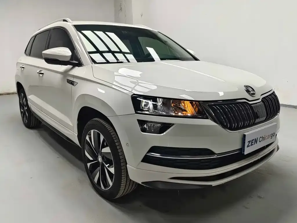Skoda Karoq — фото 10
