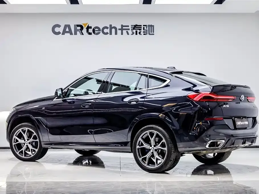 BMW X6 — фото 8