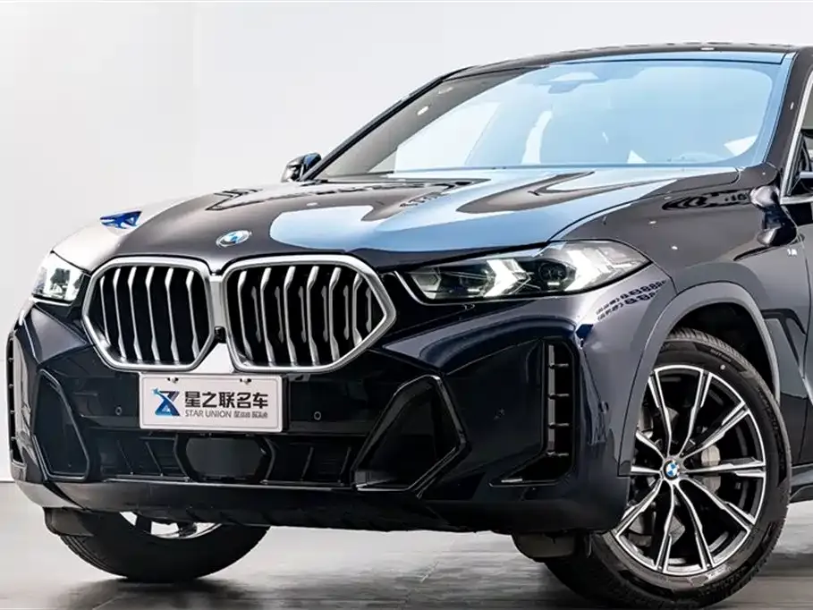 BMW X6 — фото 6