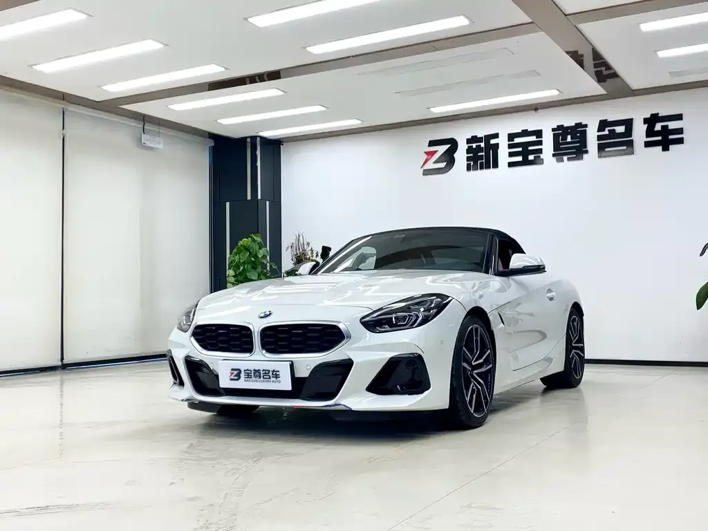 BMW Z4 — фото 1
